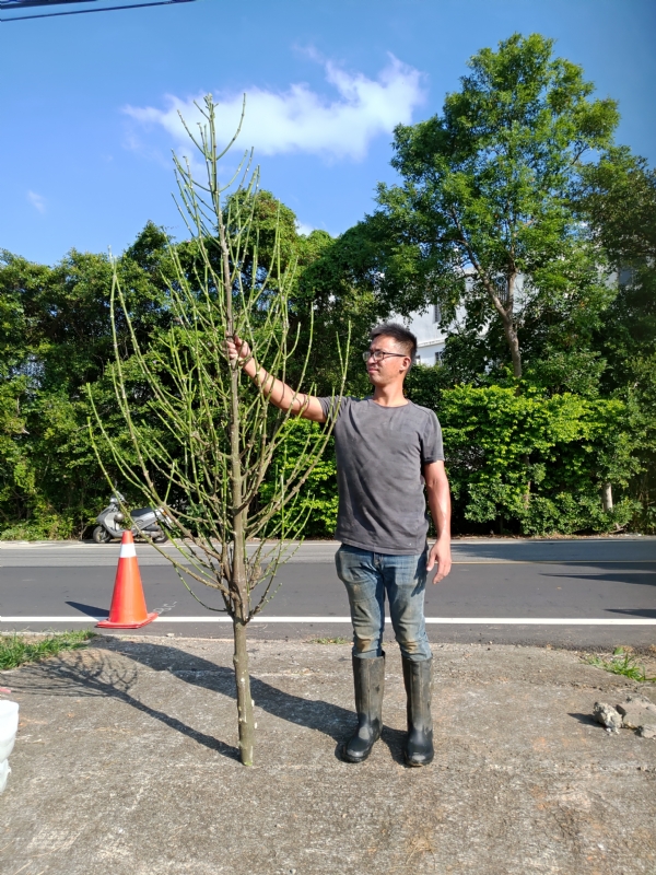 jeff的第二张照片--长泰婚介网